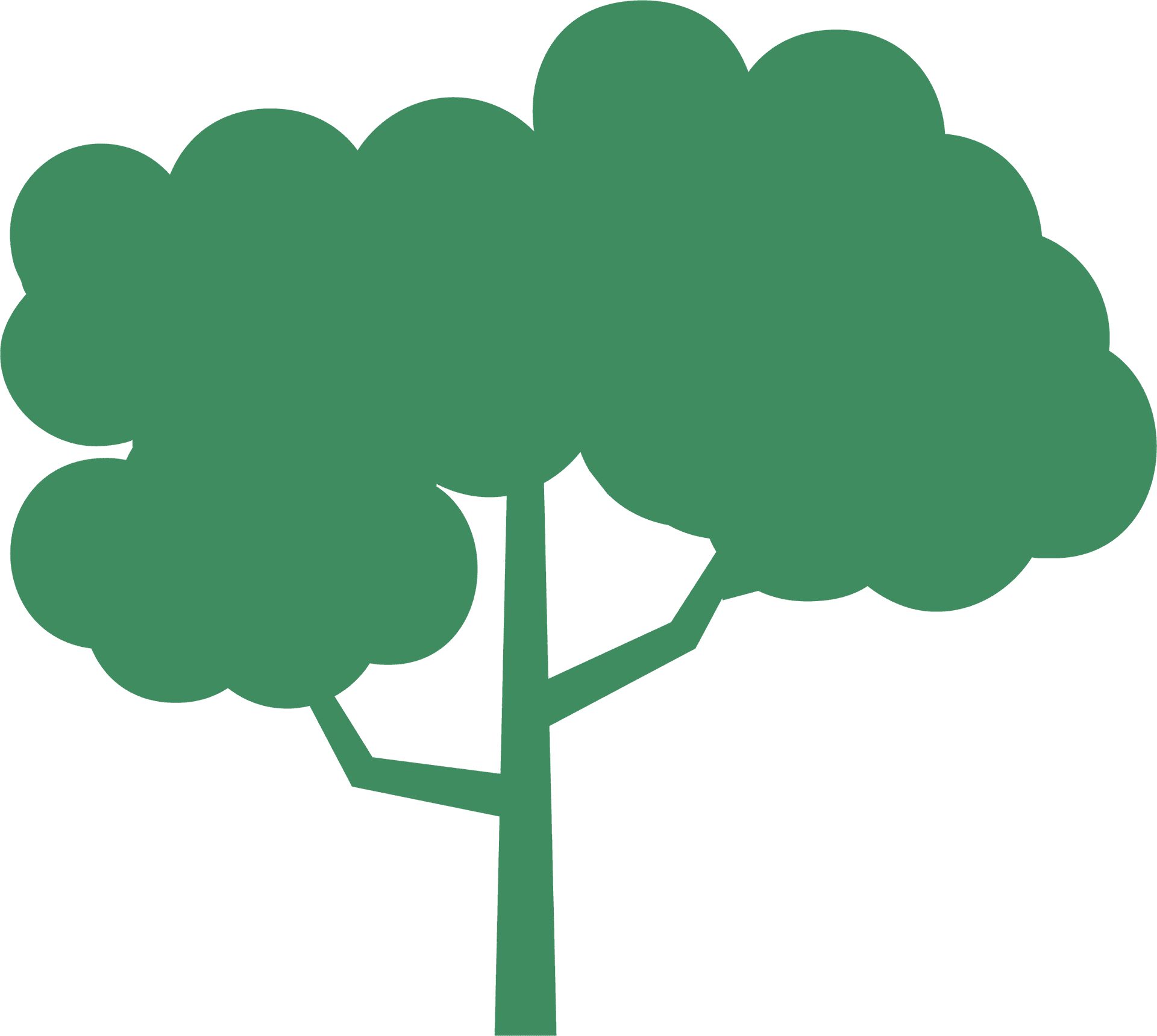 Árvore — preservação ambiental